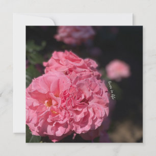 Invitation stickers Roses roses roses