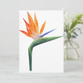 Invitation strelizia exotique de fleur de paradis (Debout devant)