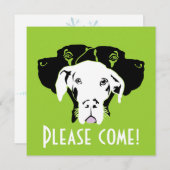 Invitation Sweer de grands visages de Danse | Doggenhaus (Devant / Derrière)