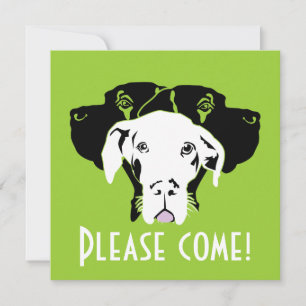 Invitation Sweer de grands visages de Danse   Doggenhaus