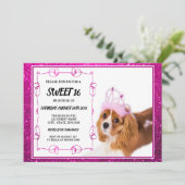 Invitation Sweet 16 Cavalier King Charles Spaniel (Debout devant)