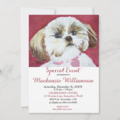 INVITATION SWEET SHIH TZU SOUHAITE UN JOUR D'ANNIVERSAIRE (Devant)