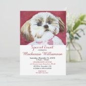 INVITATION SWEET SHIH TZU SOUHAITE UN JOUR D'ANNIVERSAIRE (Debout devant)
