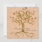 Invitation Swirl Tree Roots Antiquité Parchemin Mariage Enreg (Dos)