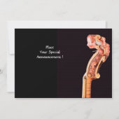 INVITATION SYMPHONIE / MUSIQUE CLASSIQUE (Dos)