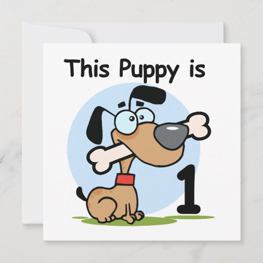 Invitation T-shirts et cadeaux 1er Anniversaire (Devant)