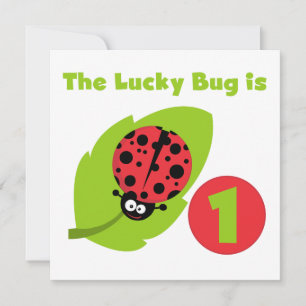 Invitation T-shirts et cadeaux Lucky Bug 1er anniversaire