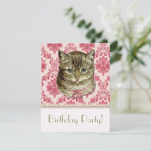 Invitation Tabby (Debout devant)