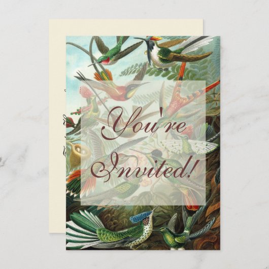 Invitation tableau classique de la faune des oiseaux colibris (Devant / Derrière)