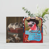 Invitation Tableaux De Chats Et De Chatons (Debout devant)