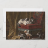 Invitation Tableaux De Chats Et De Chatons (Dos)