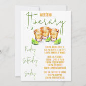 Invitation Tacos et Tequila Bachelorette Week-end (Dos)