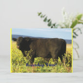 Invitation Temps de rassemblement !  Commande de bétail - (Debout devant)