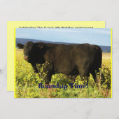 Invitation Temps de rassemblement !  Commande de bétail - (Devant / Derrière)