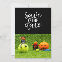 Tennis Halloween Party avec balle de tennis et fan