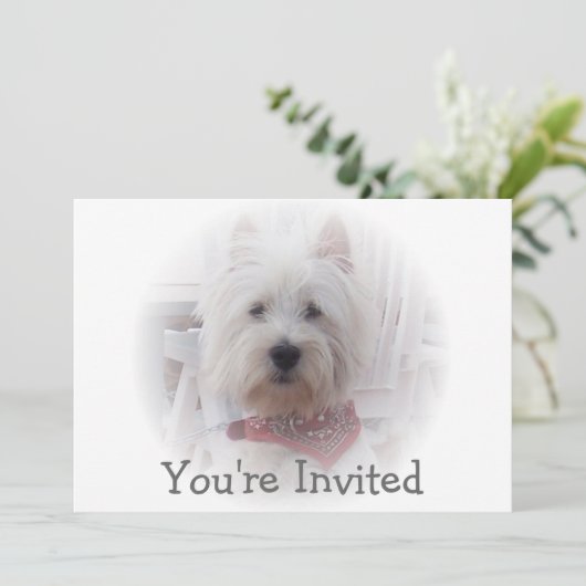 Invitation Terrier West Highland (Debout devant)