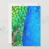 Invitation Texture de plume verte bleue de paon Mariage d'été (Dos)