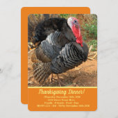 Invitation Thanksgiving Turquie (Devant / Derrière)