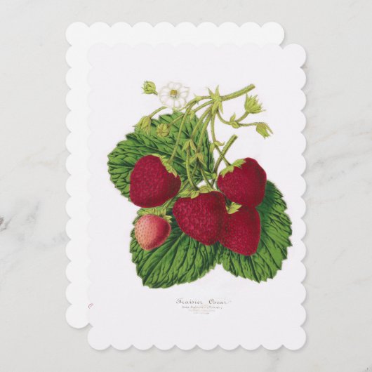 Invitation thé à la fraise après-midi (Devant / Derrière)