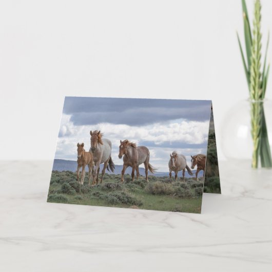 Invitation The Wild Roan Family Runs Greeting Card (Devant)