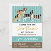 Invitation Thème Chien Pound, Salle d'évasion Anniversaire (Devant)