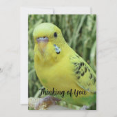 Invitation Thinking of You card (Devant)