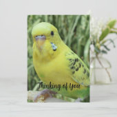 Invitation Thinking of You card (Debout devant)