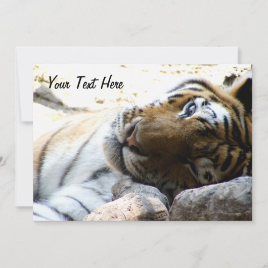 Invitation Tigre en train de couler (Devant)