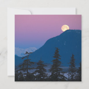 Invitation Tombe nocturne en Alaska