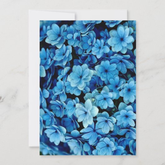 Invitation Tons d'aquarelle bleue Hydrangeas Couple Douche (Dos)