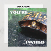 Invitation Tortue (Devant / Derrière)