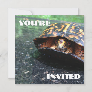 Invitation Tortue