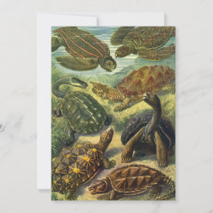 Invitation Tortues terrestres et tortues de mer vintage par E