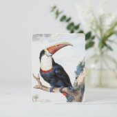 Invitation Toucan à bec rouge (1748) par Aert Schouman (Debout devant)