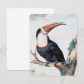 Invitation Toucan à bec rouge (1748) par Aert Schouman (Devant / Derrière)