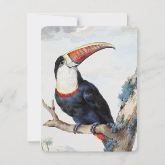 Invitation Toucan à bec rouge (1748) par Aert Schouman (Devant)