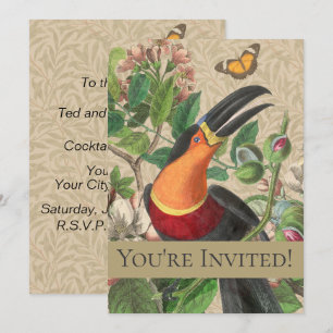 Invitation Toucan Jungle Tropical Bird Belle antique