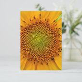 Invitation Tournesol (Debout devant)