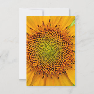 Invitation Tournesol