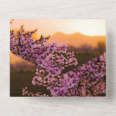 Invitation Tout Compris Rose Rose Royal (Verso)