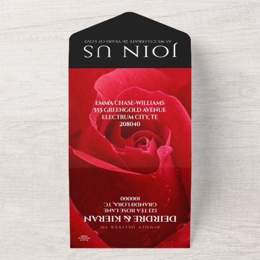 Invitation Tout En Un Célébration élégante du 26e anniversaire de mariag (Dehors)