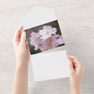 Invitation Tout En Un Fleur de cerisier rose