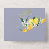 Invitation Tout En Un mariage LEMONS Bleus Dusty 3in1 (Verso)