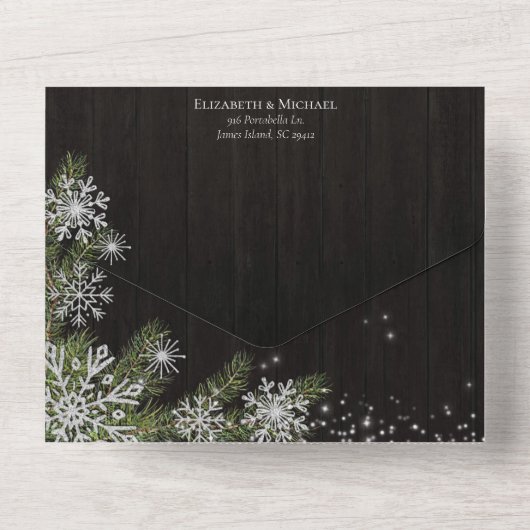 Invitation Tout En Un Noir foncé Moody Rustique Silver Winter Greenery (Verso)