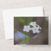 Invitation Tout En Un Papier du Parti de la retraite (Verso)