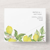 Invitation Tout En Un Sceau Mariage citron D'Été Et Envoyer (Verso)