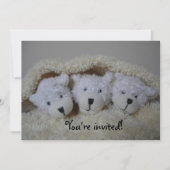 Invitation Triplet ours baby shower (Devant)