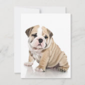 Invitation Triste chiot-chiot (Devant)