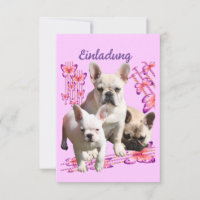 Trois bouledogues français Merci Bouledogue França