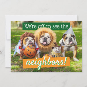 Invitation Trois Bulldogs en costumes